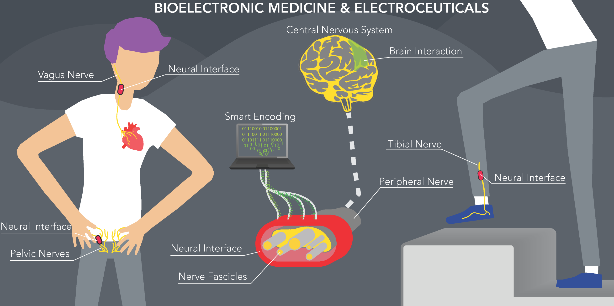 bioelectronic medicine